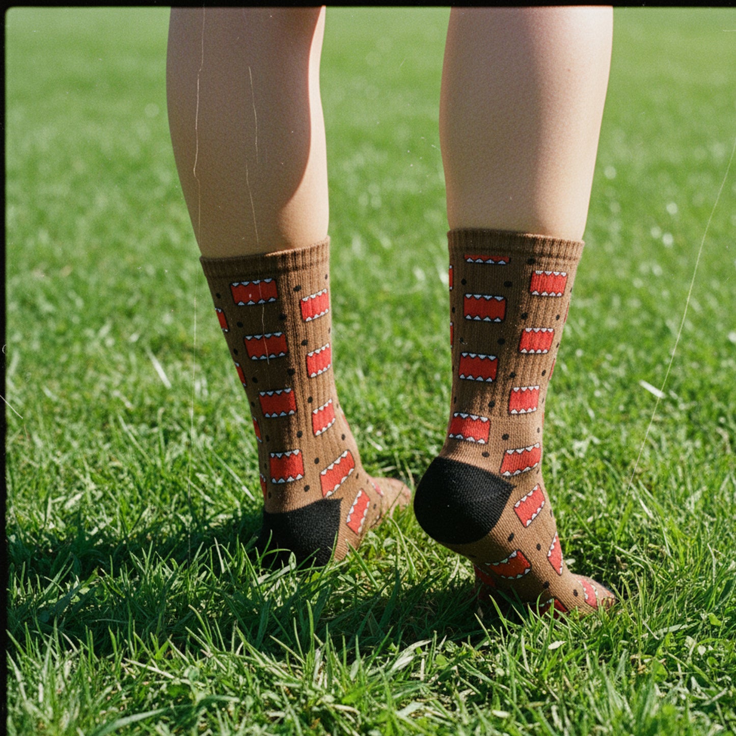 DomoKun | Socks